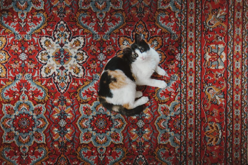 Vibrant Persian rug seen from above